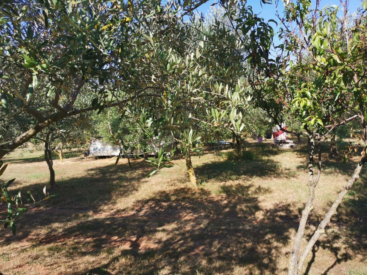 Jacuzi Cottage In The Olive Grove Pula Exterior foto