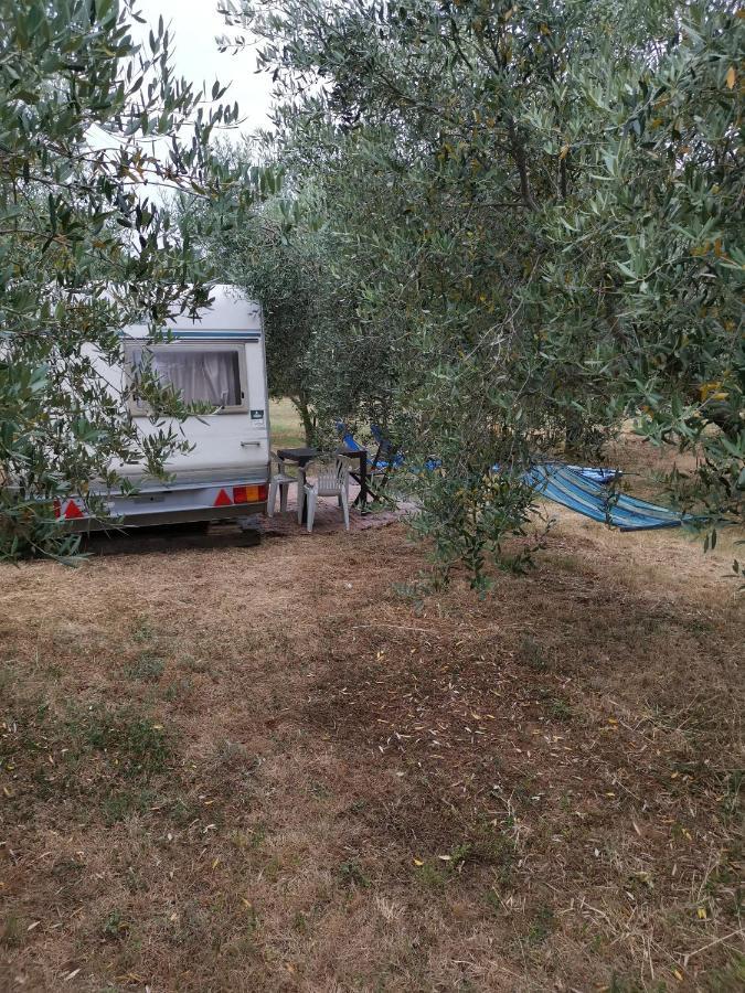 Jacuzi Cottage In The Olive Grove Pula Exterior foto