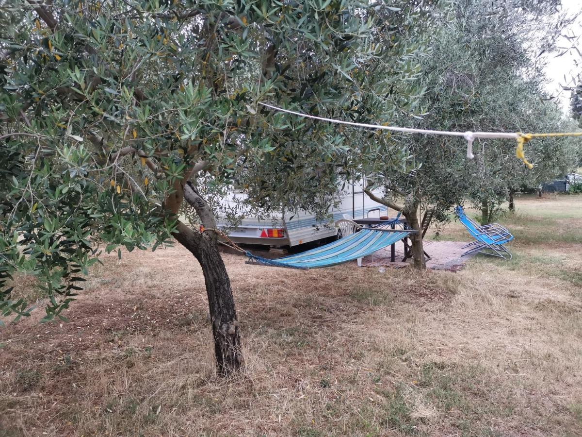 Jacuzi Cottage In The Olive Grove Pula Exterior foto