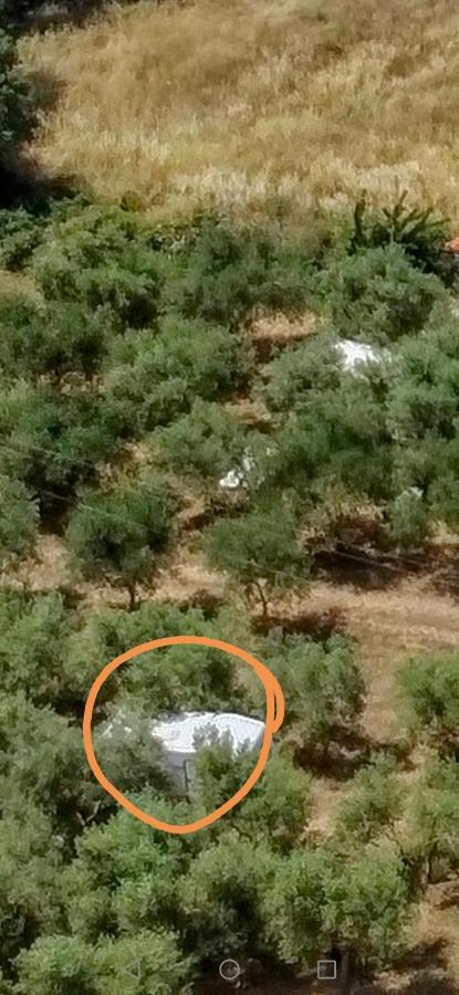 Jacuzi Cottage In The Olive Grove Pula Exterior foto