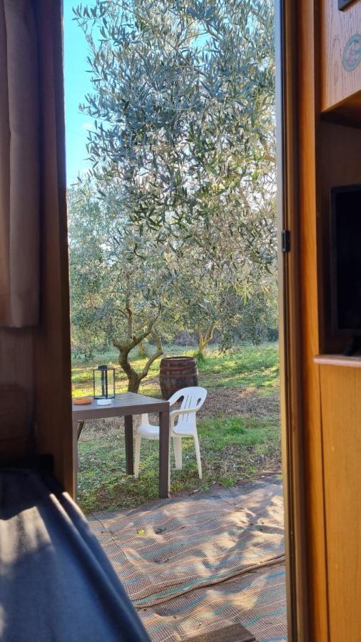 Jacuzi Cottage In The Olive Grove Pula Exterior foto