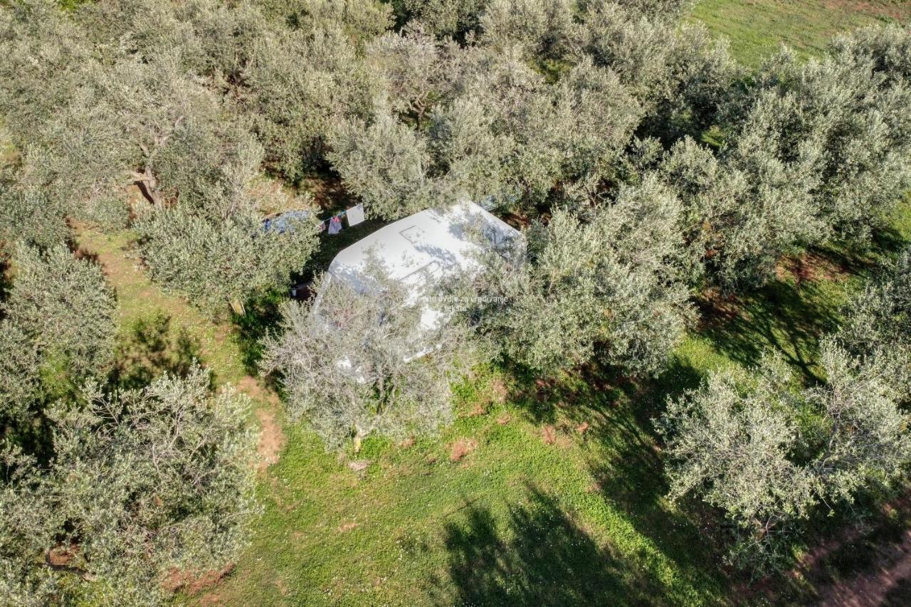 Jacuzi Cottage In The Olive Grove Pula Exterior foto